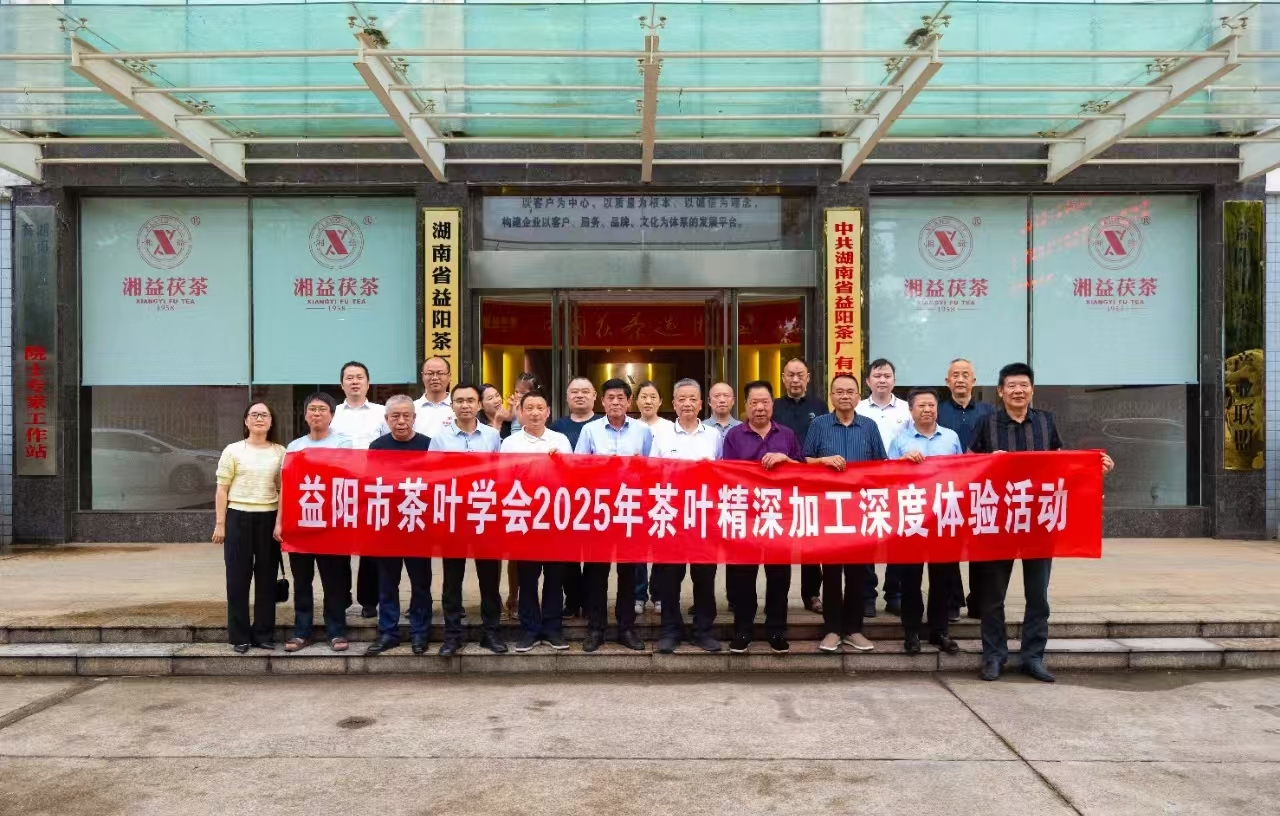 521国际茶日丨“非遗传承•手筑茯香”茯砖制作体验活动在益阳茶厂有限公司举办